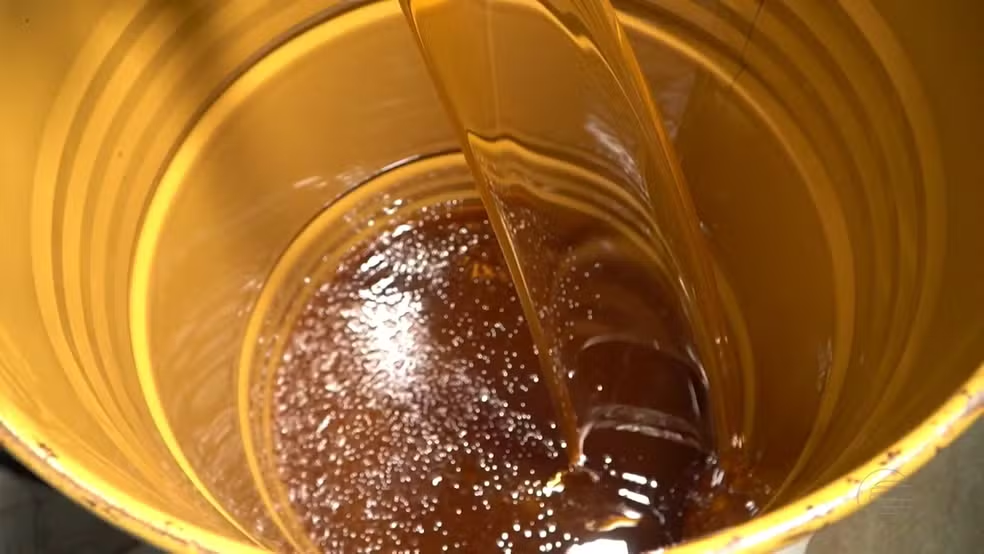 Produtores de mel no Nordeste buscam alternativas de mercado diante das tarifas de Trump