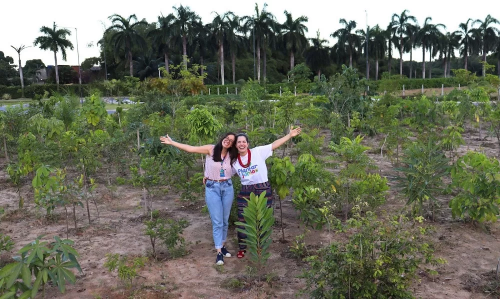 Iniciativa ambiental promove plantio de microfloresta no Recife, no Nordeste