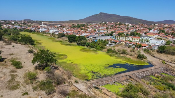 Sebrae impulsiona agronegócio no Centro-Sul do Ceará com iniciativas para agroindústria