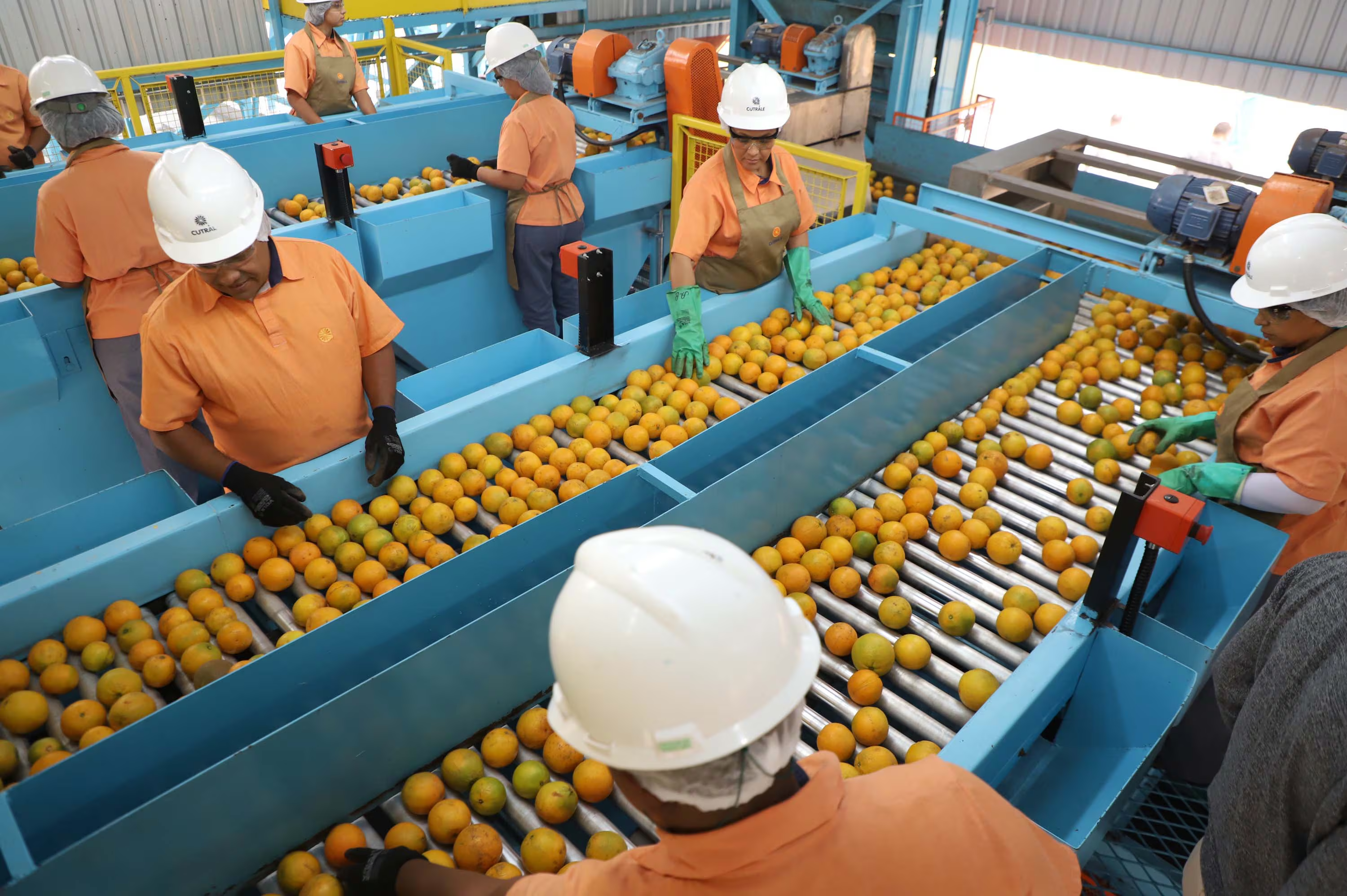 Impacto das tarifas dos EUA no setor agro e metalúrgico gera incertezas no mercado brasileiro