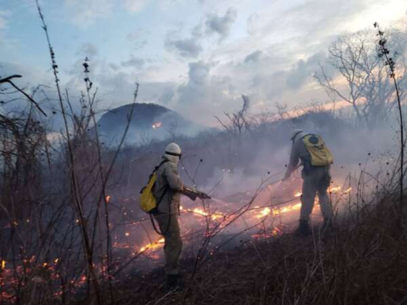Queda de mais de 50% nos incêndios em vegetação no Nordeste no primeiro semestre de 2025