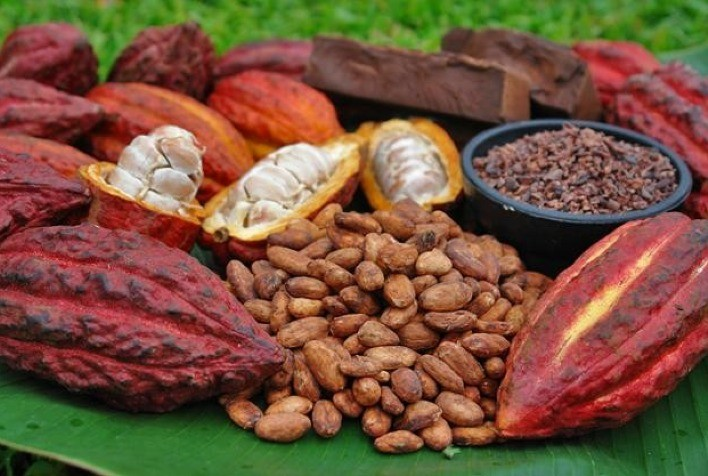 Chocolat Festival Bahia 2025 consagra o Nordeste como polo do chocolate fino