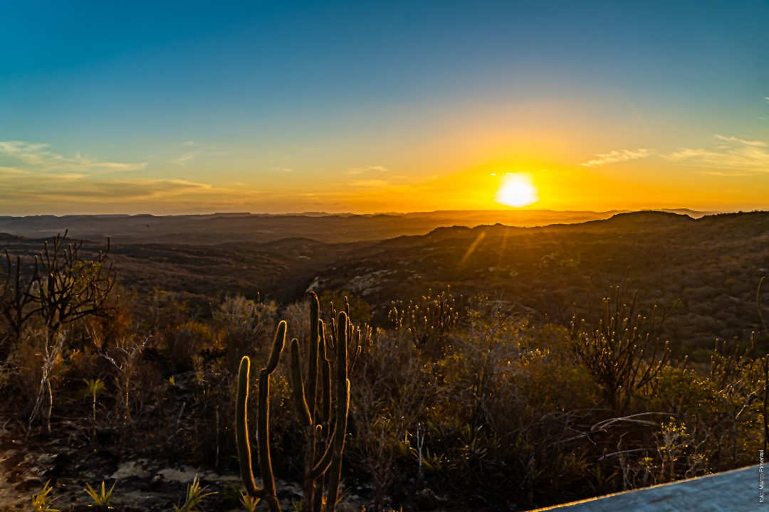 Reserva ecológica no Nordeste preserva a Caatinga e impulsiona o ecoturismo