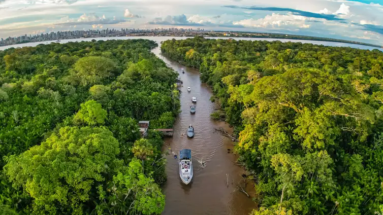 Brasil enfrenta desafio de aumentar financiamento para florestas na COP30