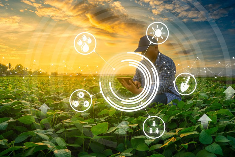 Edital seleciona startups do Nordeste com inovações tecnológicas para o agronegócio