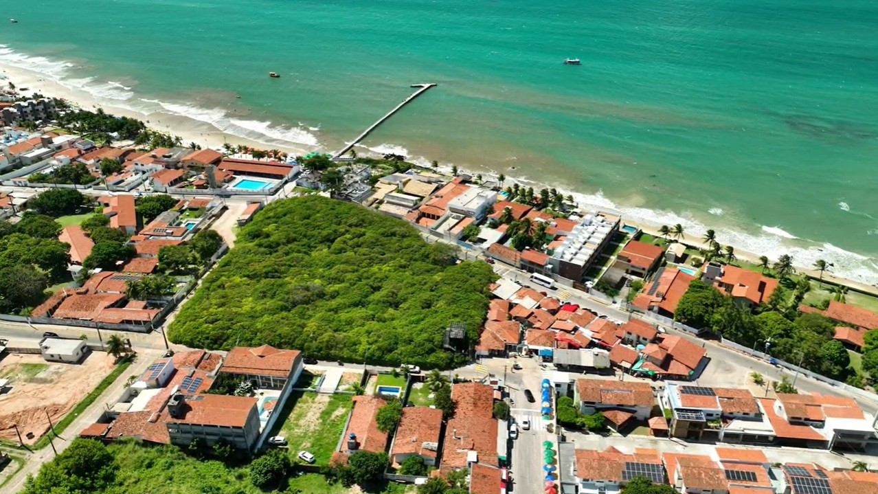Poda do maior cajueiro do mundo é adiada para fevereiro, segundo Idema