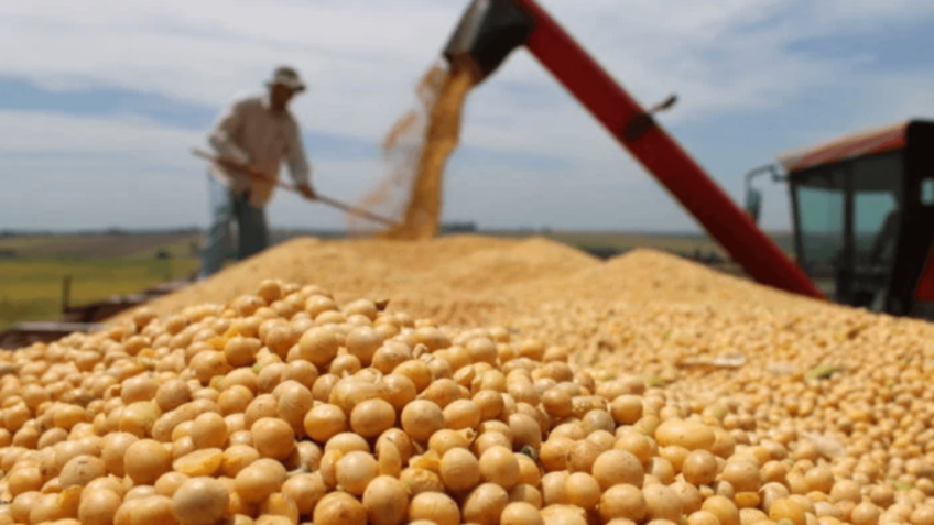 China registra compra histórica de soja brasileira em 2025, impactando o mercado dos Estados Unidos