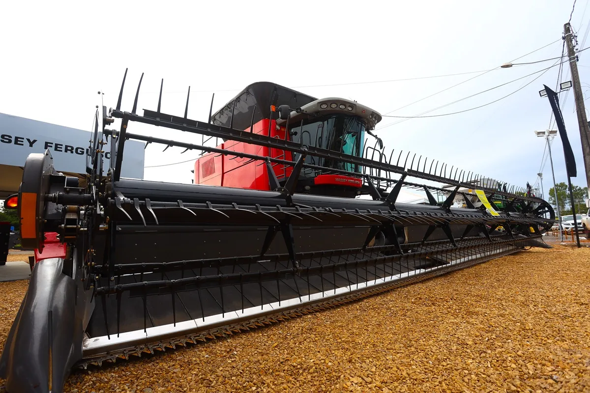 Crescimento econômico no Nordeste é impulsionado pelo setor de serviços, com ênfase na Paraíba