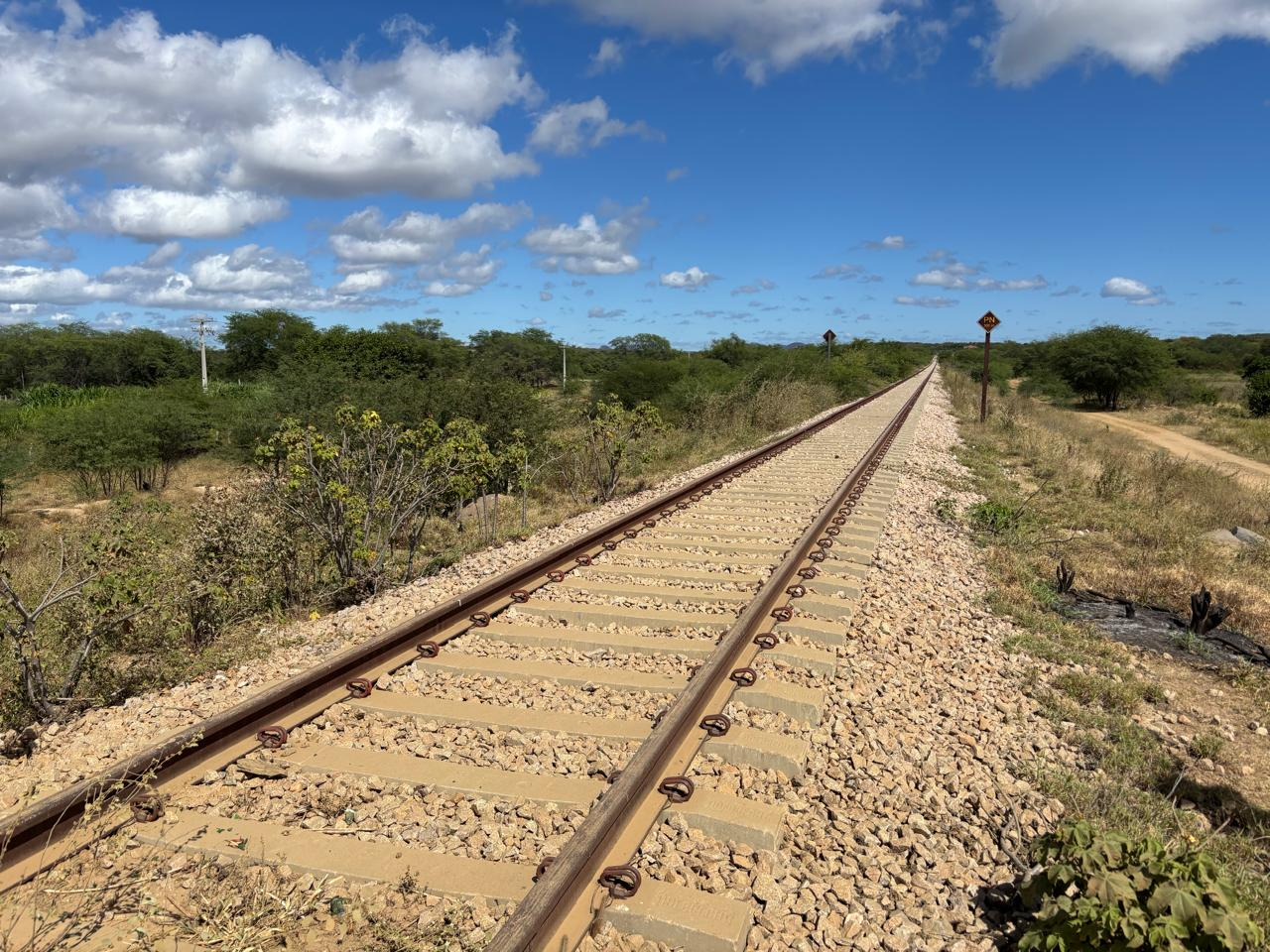 Rialma e Axia conquistam lotes de transmissão no Nordeste por R$ 157,8 milhões