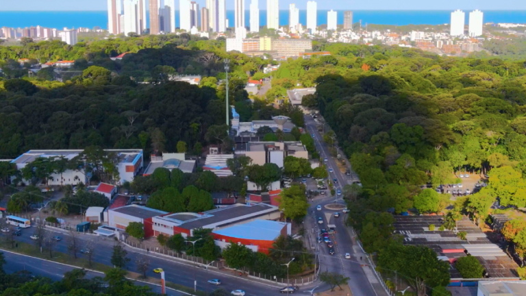 Pesquisadores de universidade no Nordeste se destacam entre os 2% mais influentes do mundo