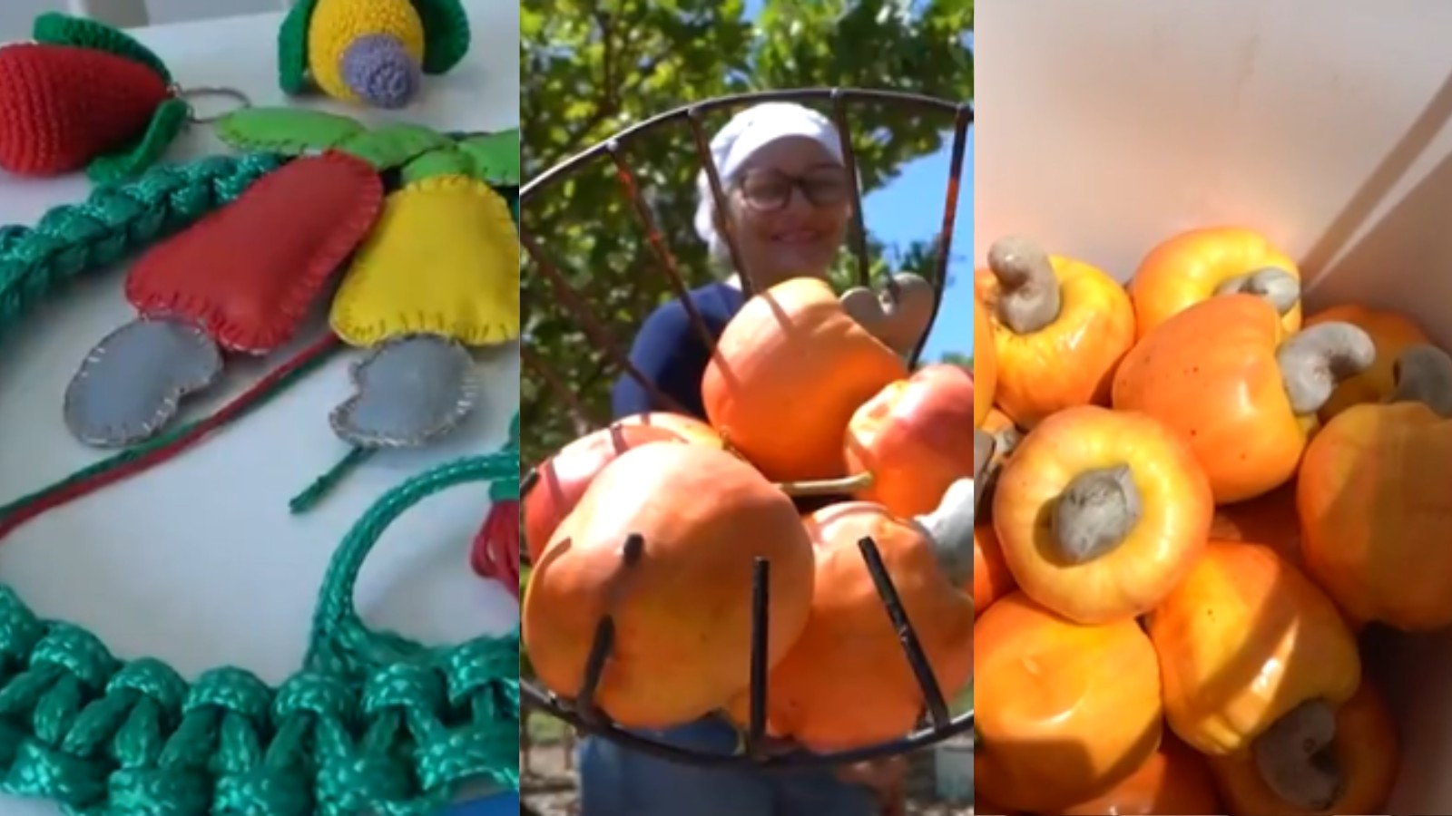 Safra do caju proporciona sustento a famílias do Nordeste