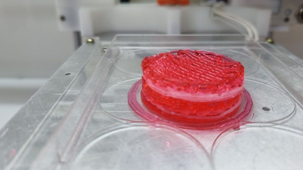 Bahia se destaca em pesquisa sobre carne 3D e promove inovação no Brasil