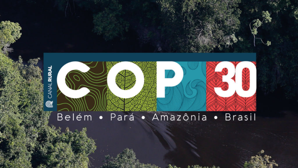 COP30 e a valorização das florestas no mercado de negócios