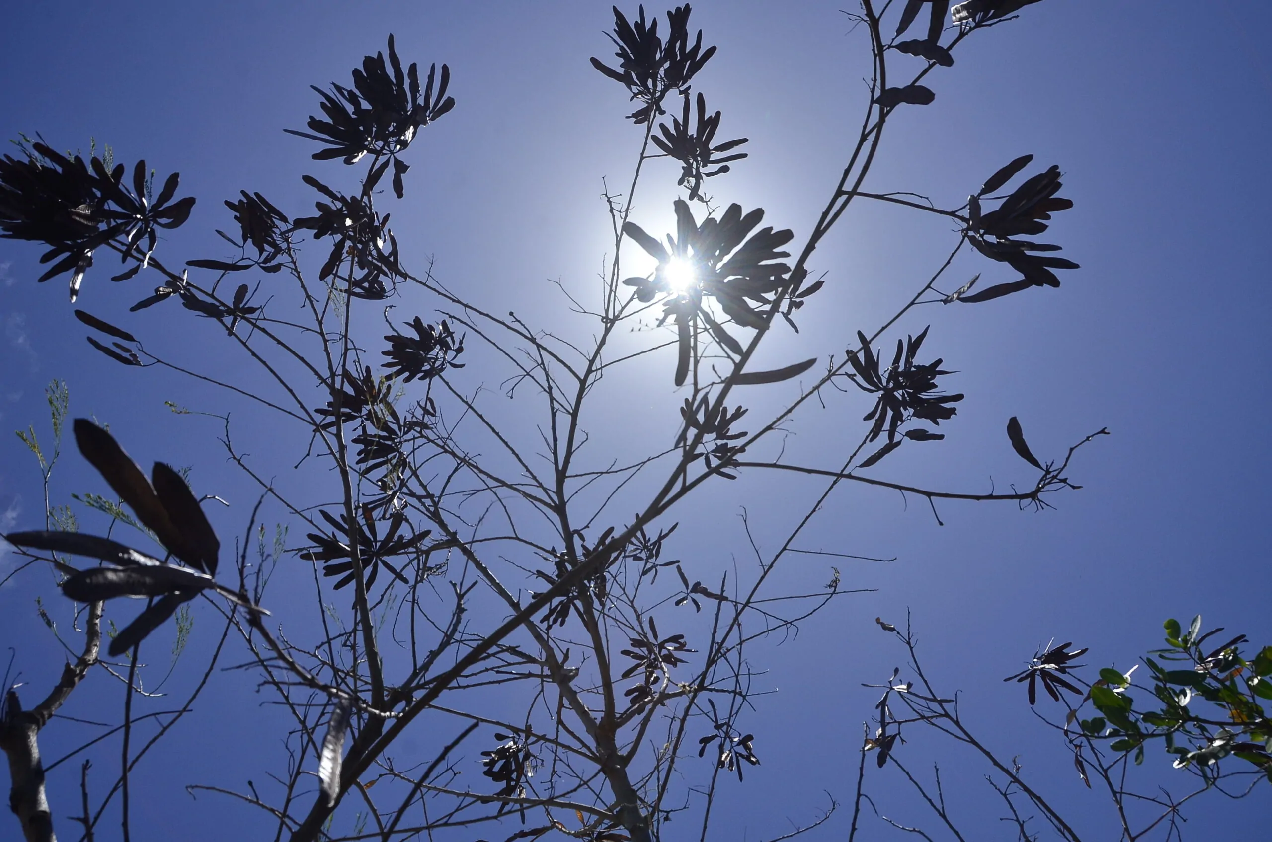 Caicó registra quase 40º e se destaca entre as cidades mais quentes do Brasil nesta terça-feira