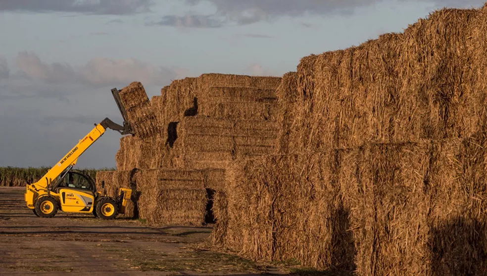 Produção de etanol anidro no Nordeste deve crescer quase 40%
