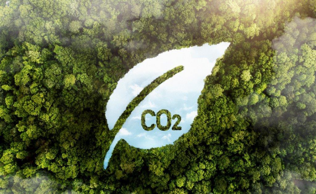 Nova metodologia para geração de crédito de carbono na Caatinga é apresentada na COP30