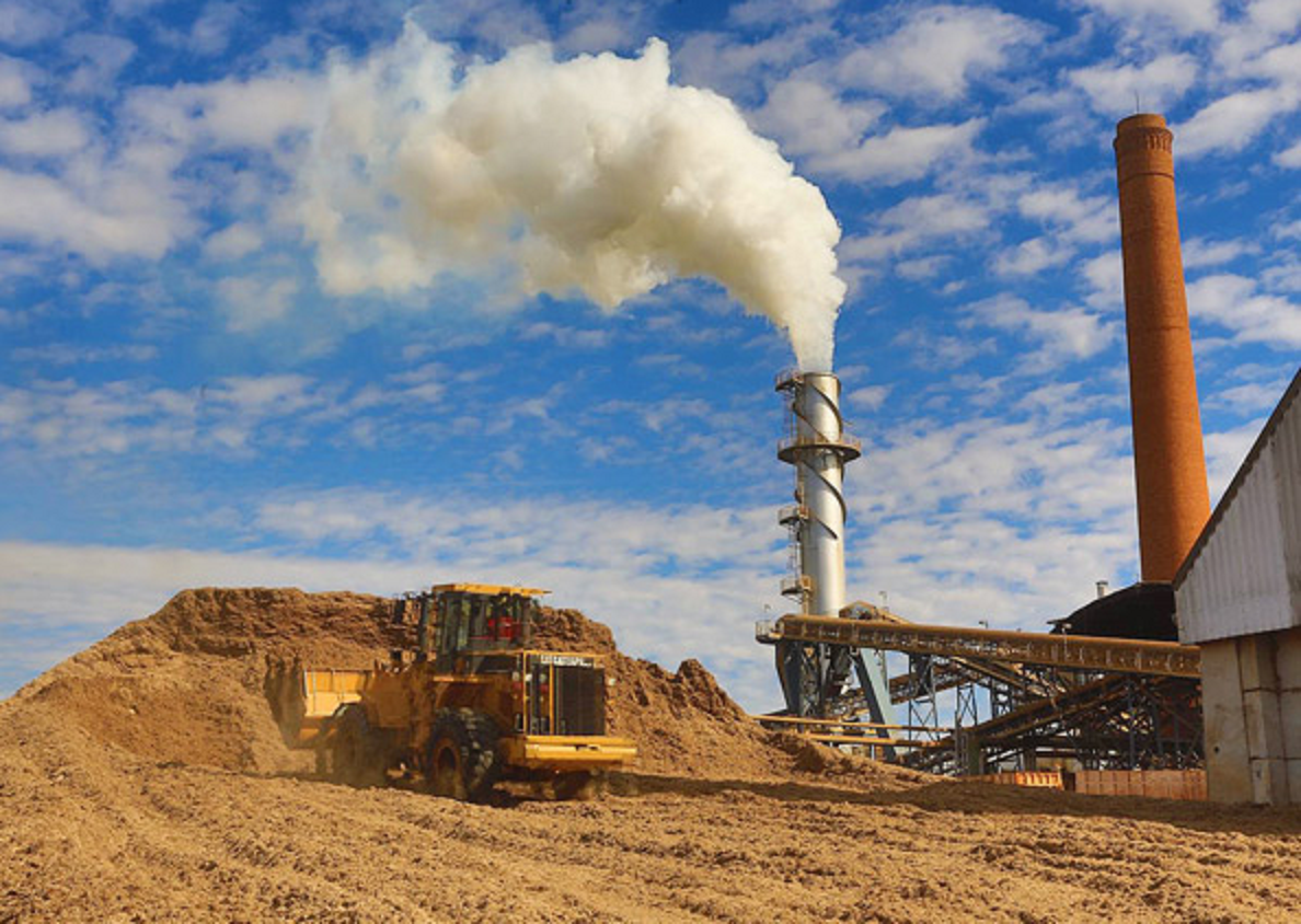 Bagaço de cana pode ser a solução para usinas térmicas e redução de geração de energia