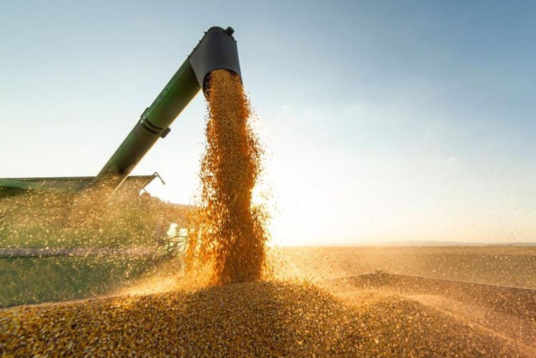 Participação da agropecuária na economia do Piauí cresce duas vezes em 20 anos, revela IBGE