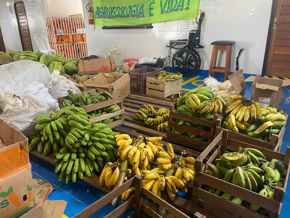 Iniciativas de agricultura familiar do Maranhão se destacam na COP 30