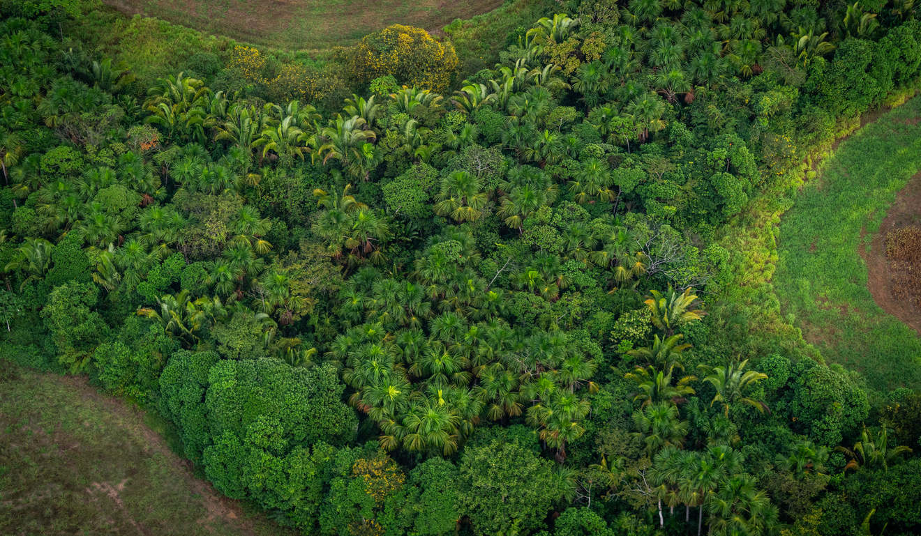 Chamada climática pode liberar R$ 16 bilhões para a transição ecológica no Brasil