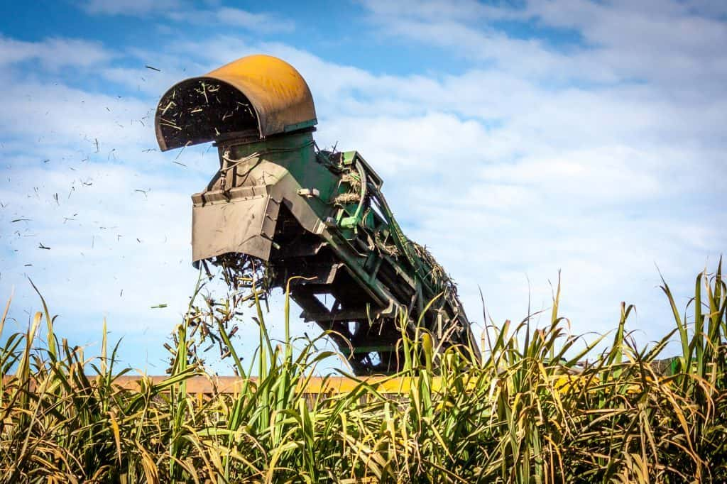 Produtores no Nordeste podem receber até R$ 27 milhões com pagamento de CBIOs