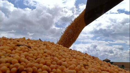 Fim da moratória da soja: quais serão os próximos passos?