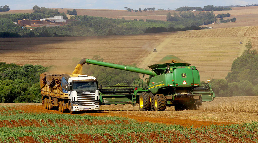 Brasil espera alcançar safra recorde de 346,1 milhões de toneladas em 2025
