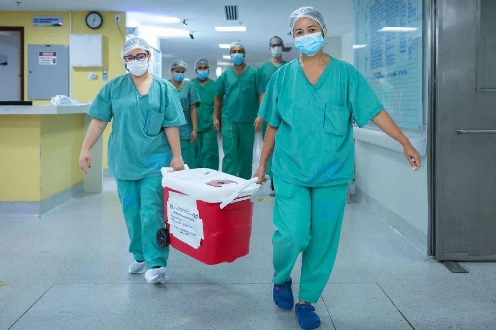 Maranhão se torna pioneiro no nordeste com transplante hepático intervivos entre adultos