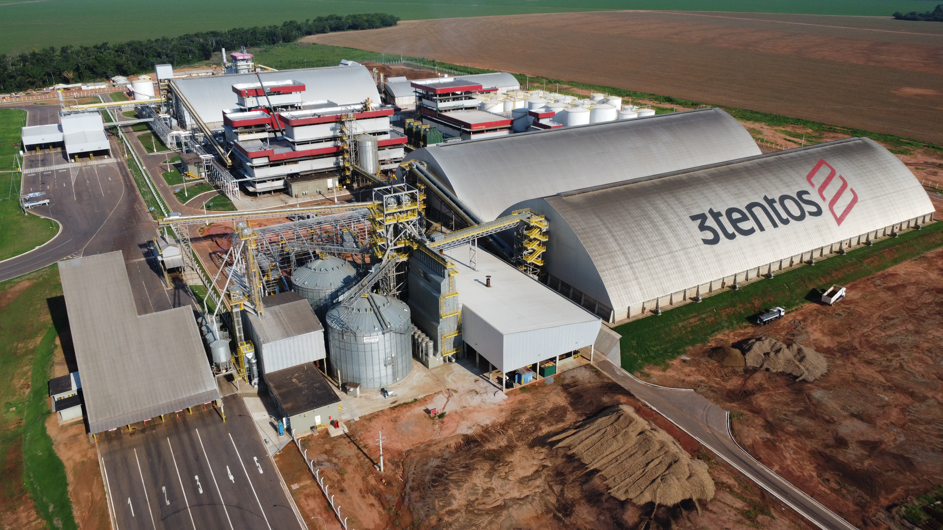 Canola e pecuária: a esperança para a agricultura segundo a 3tentos