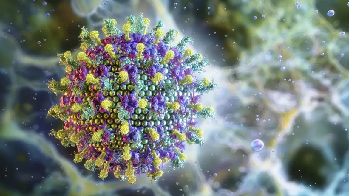 Ministério da saúde afirma que não há risco de surto do vírus Nipah no Brasil