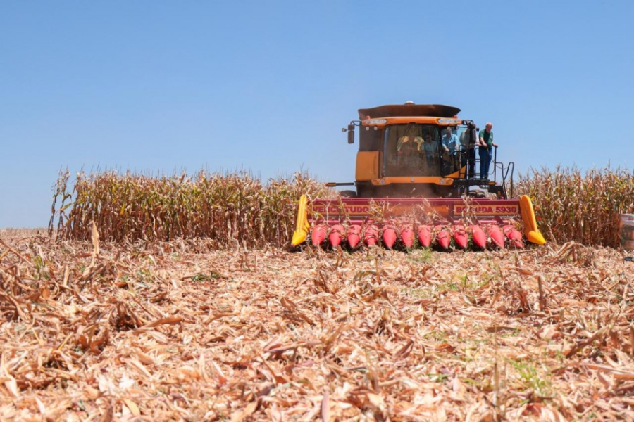 Crescimento do PIB brasileiro atinge 2,3% em 2025, totalizando R$ 12,7 trilhões