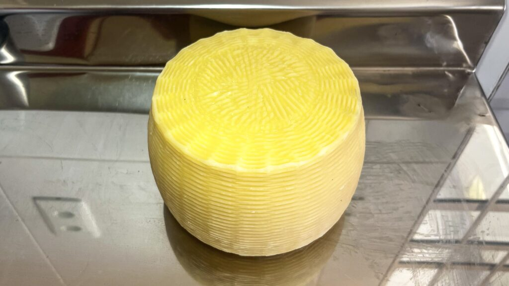 O italiano que transforma o queijo artesanal na Paraíba com a precisão da Sicília
