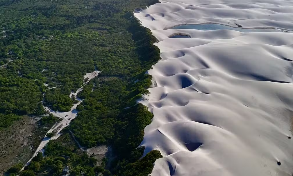 Contraste entre vegetação e dunas dos Lençóis Maranhenses encanta nas redes sociais