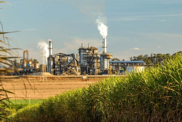 Aumento de custos e pressão no setor sucroenergético da Paraíba com redução da jornada de trabalho