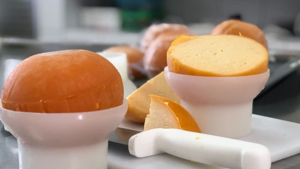 UFPB registra patente de queijo do reino produzido com leite de cabra no semiárido