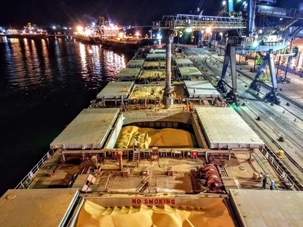 Abu Dhabi Ports investe US$ 835 milhões na aquisição de terminais em Santos e Itaqui