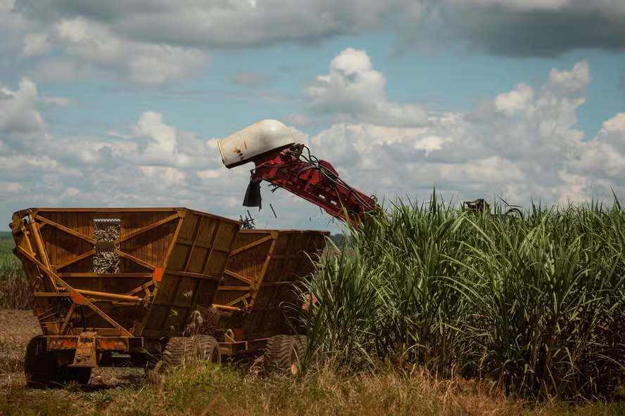 Crescimento de 6,2% na produção de etanol no Nordeste mesmo com redução na moagem de cana